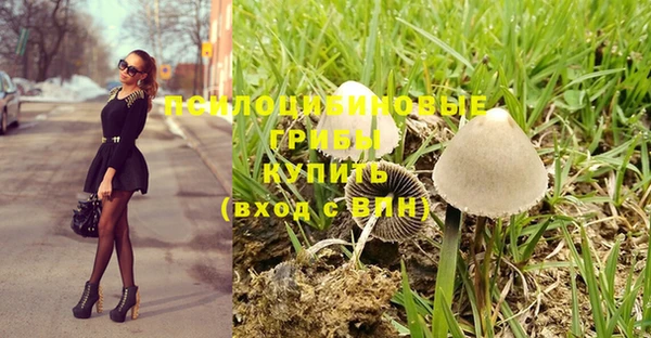 спайс Алзамай